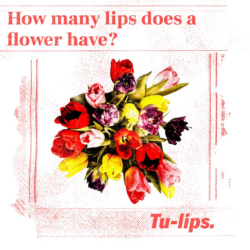 Funny Jokes For Kids: How many lips does a flower have?