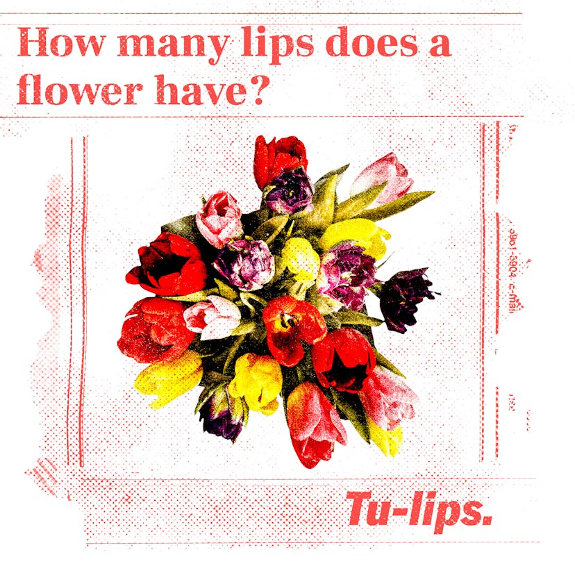 03867c9f 6591 4faf 8e0a 912a6d80b9d4 inser tulips 1 Funny Jokes For Kids: How many lips does a flower have?