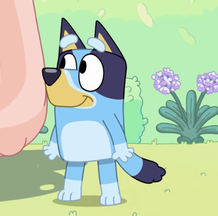'Bluey' Characters: Everything You Need To Know About The Voice Cast
