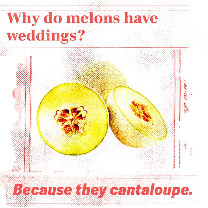 59683d4b 9ff2 4dc4 b2e0 5c0130a6a3ce cornydadjokesteaser Corny jokes: Why Do Melons Have Weddings?