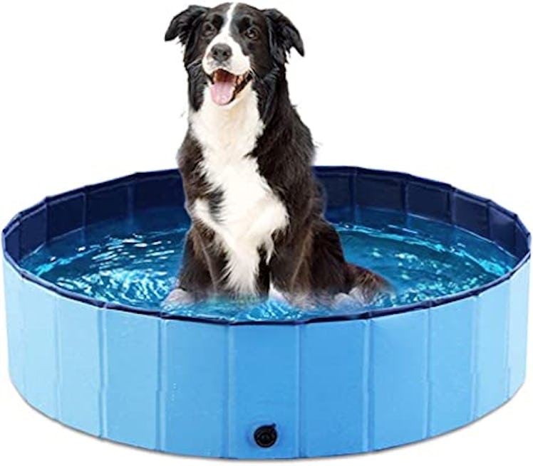 Jasonwell Foldable Dog Pool