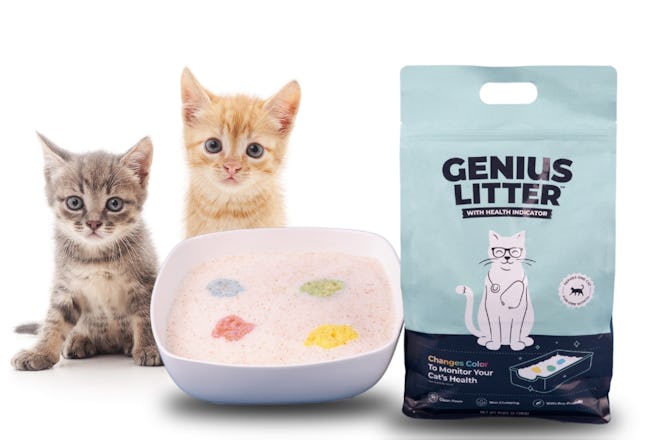 How Does Color-Changing Litter Work?