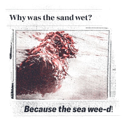 Dirty Jokes For Kids: Why was the sand wet? 