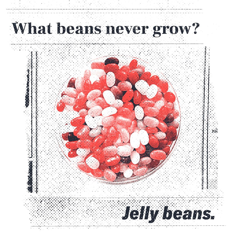 ff0380f3 6a7b 4f6c 94f2 e178505e251e insert jellybeans Corny jokes: What beans never grow?