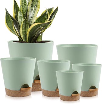YNNICO Indoor Self Watering Planters (Set of 6)