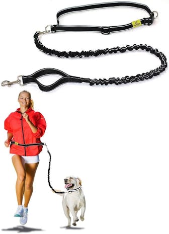 Hertzco Hands-Free Leash