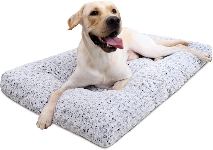KSIIA Washable Plush Dog Bed
