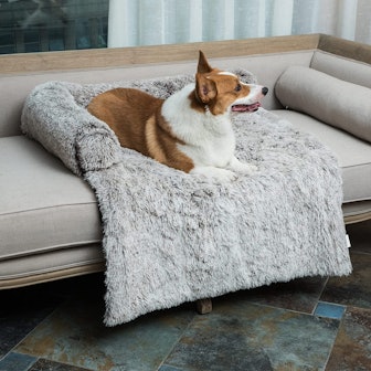 Coohom Calming Dog Bed & Couch Protector