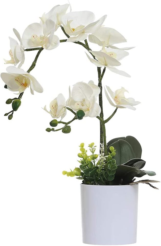Omygarden White Orchid Artificial Flowers