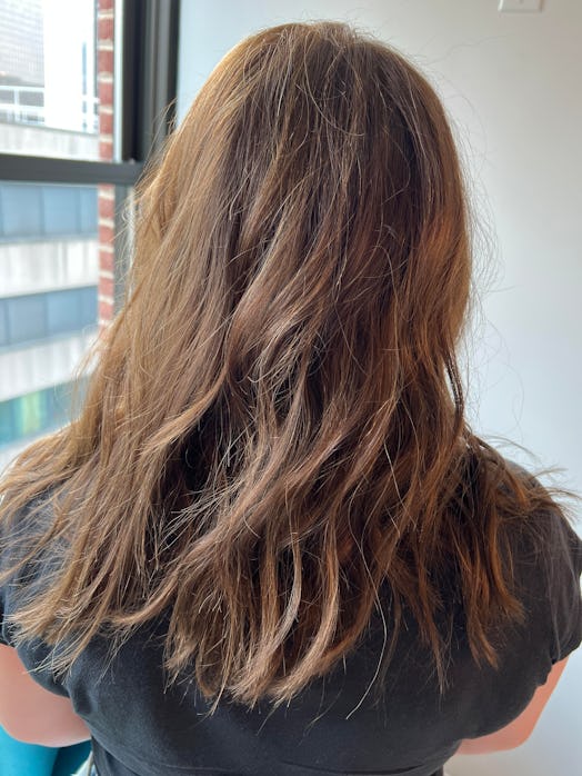 Rita Hazan (aka Beyoncé’s hair colorist) transformed Bustle beauty writer Olivia Rose Rushing’s hair…