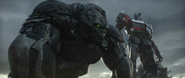 Optimus Primal and Optimus Prime stand together in Transformers: Rise of the Beasts