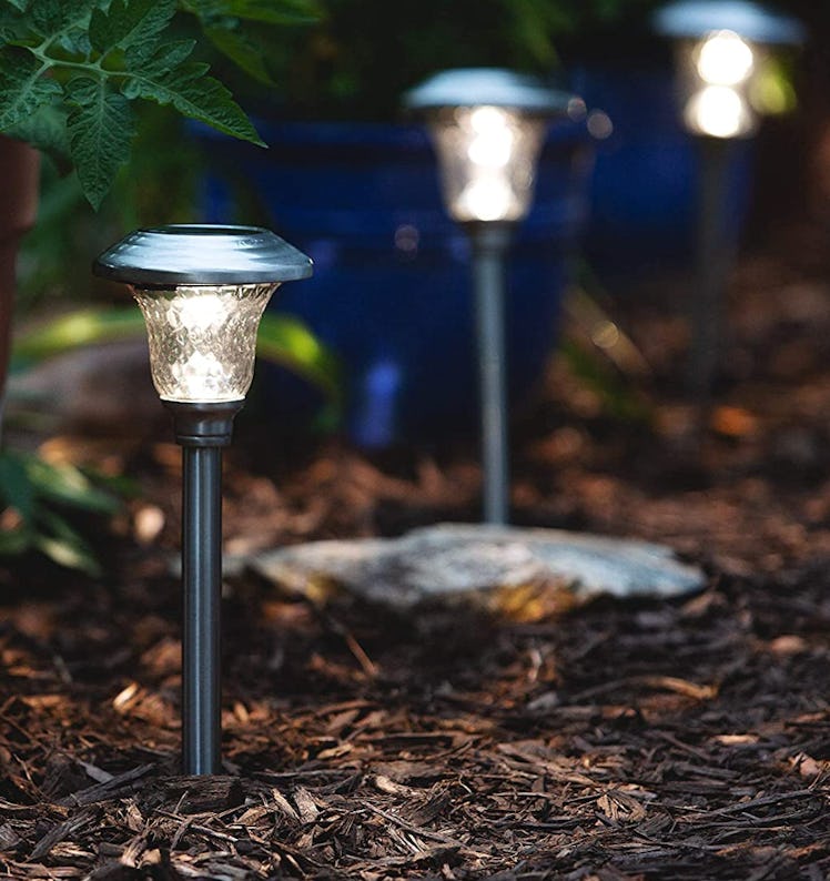 Signature Garden Solar Garden Lights (8-Pack)