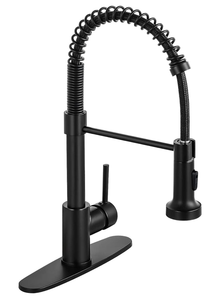DJS Kitchen Faucets with Pull Down Sprayer