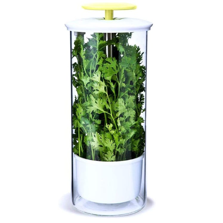 NOVART XXL Herb Keeper and Herb Saver