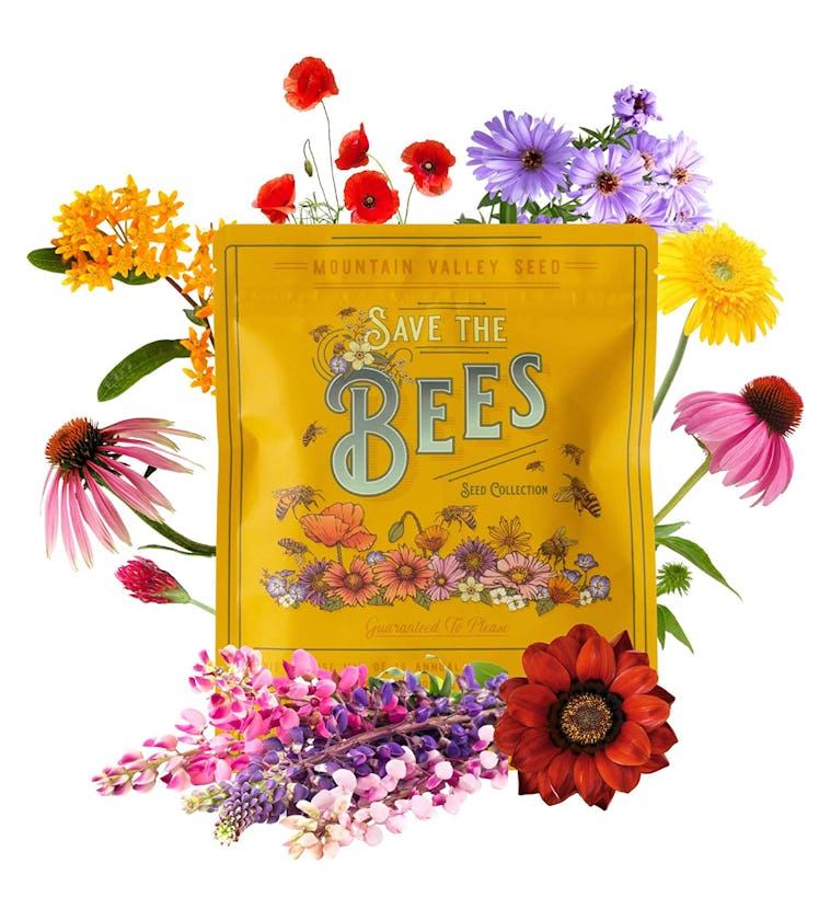 Mountain Valley Seed Company Wildflower Seeds