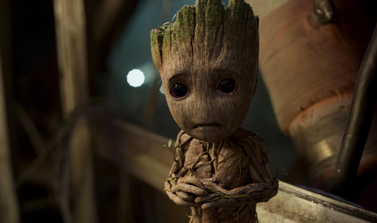 Baby Groot from 'Guardians of the Galaxy'