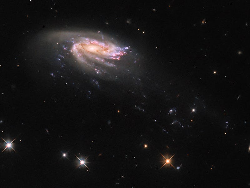 A galaxy appears almost side on, and looks almost like a flying saucer. Its got a glittering disk, a...