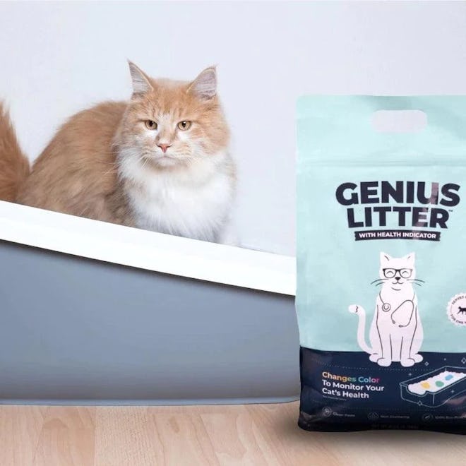 How The Brand Gives Back