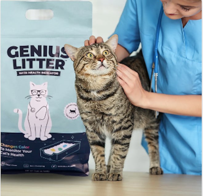 Plans Are Customizable & Delivered To Your Door