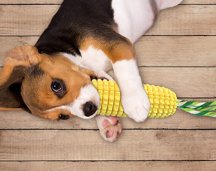 Carllg Durable Corn Stick Dog Chew Toy