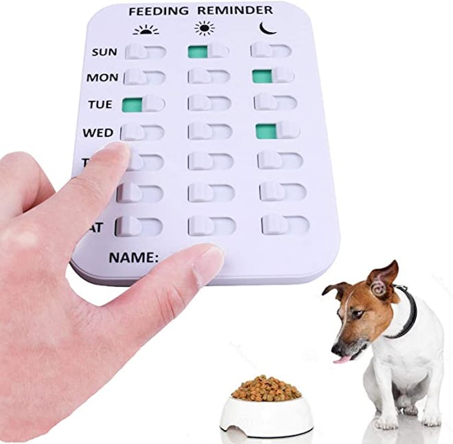 Kwispel Pet Feeding Reminder for Dogs Cats