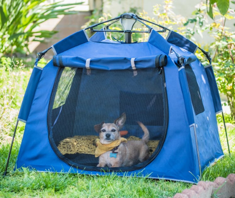 POP 'N GO Travel Outdoor Pet Playpen 