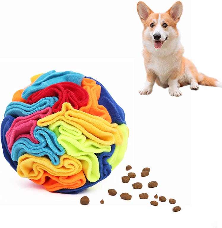 Ablechien Treat Snuffle Ball 