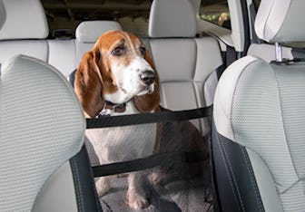 Car Cache Car Seat Dog Holder  