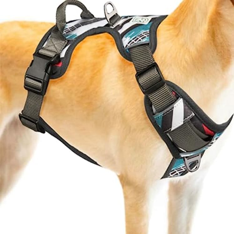 Embark No-Pull Harness