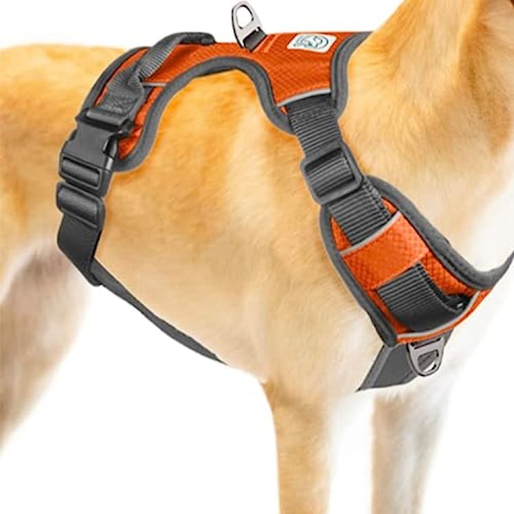 Embark Adventure No-Pull Dog Harness