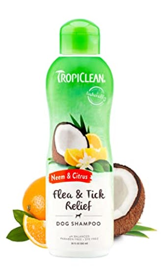 TropiClean Citrus & Neem Oil Flea Shampoo for Dogs