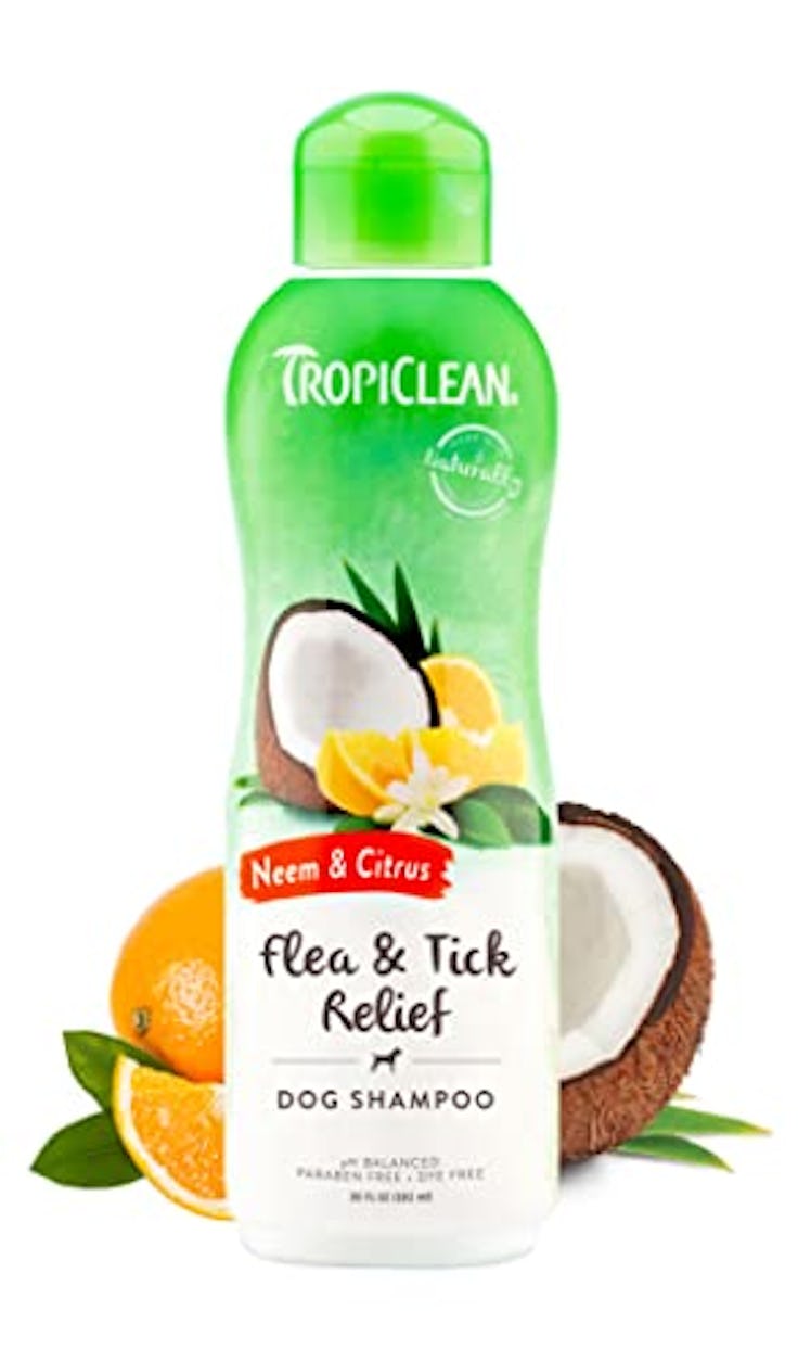 TropiClean Citrus & Neem Oil Flea Shampoo for Dogs