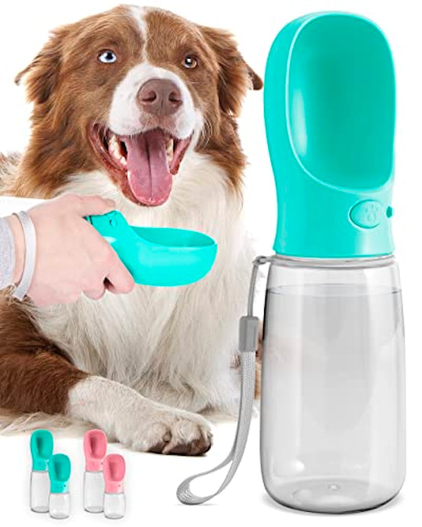 MalsiPree Travel Dog Water Bottle