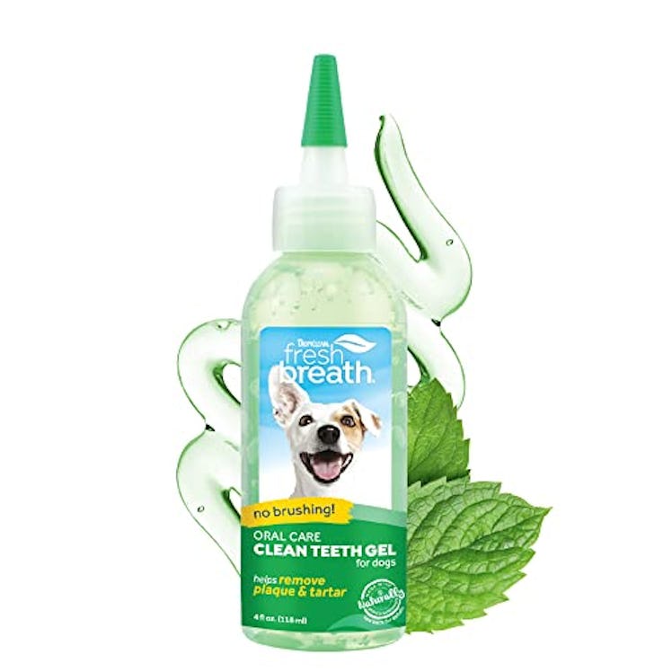 TropiClean Fresh Breath for Dogs