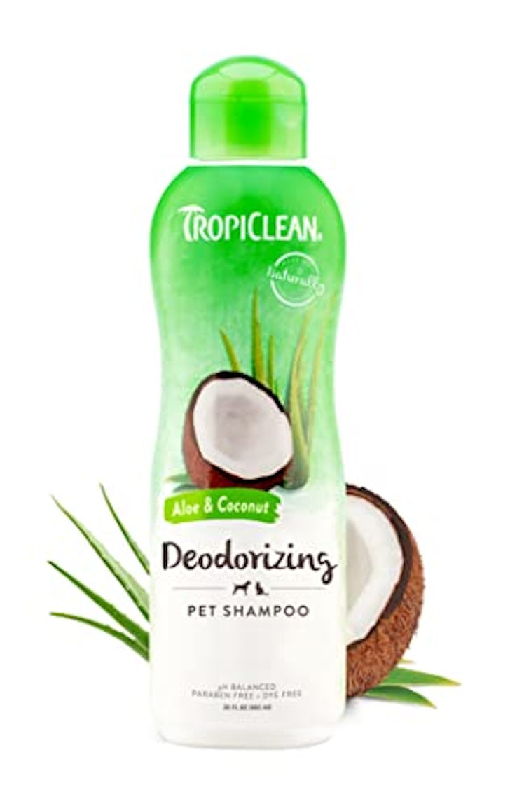 TropiClean Aloe & Coconut Deodorizing Dog Shampoo