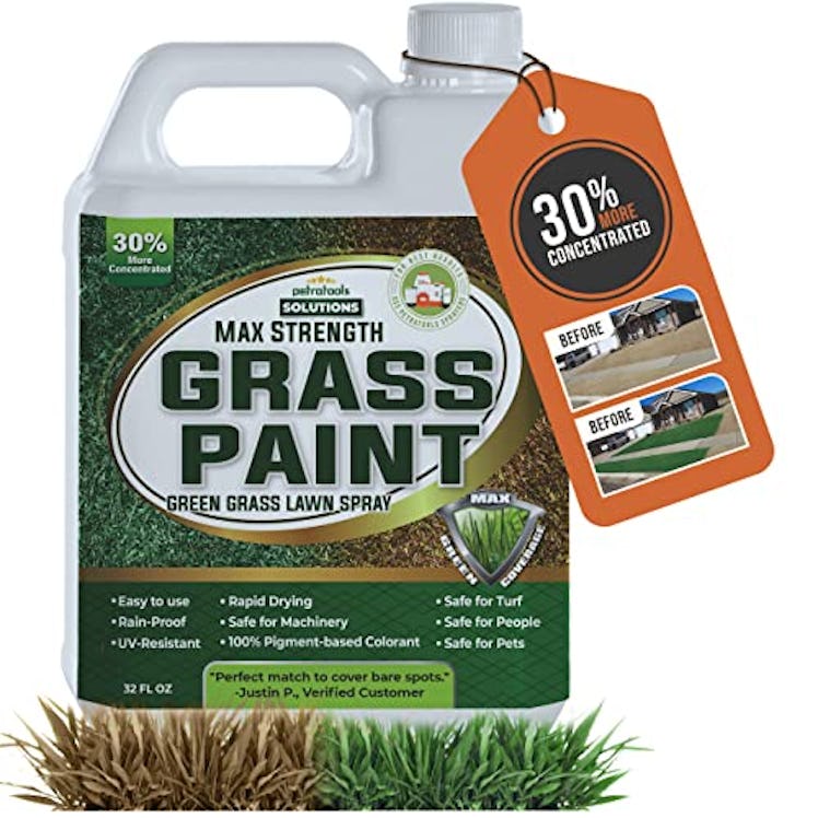 PetraTools Maximum-Strength Grass Paint