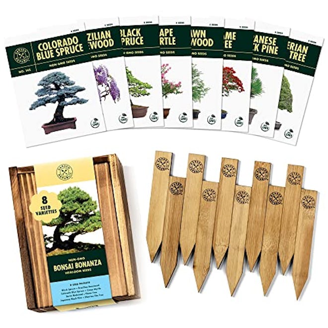 Bonsai Tree Seeds Kit (8-Pack)