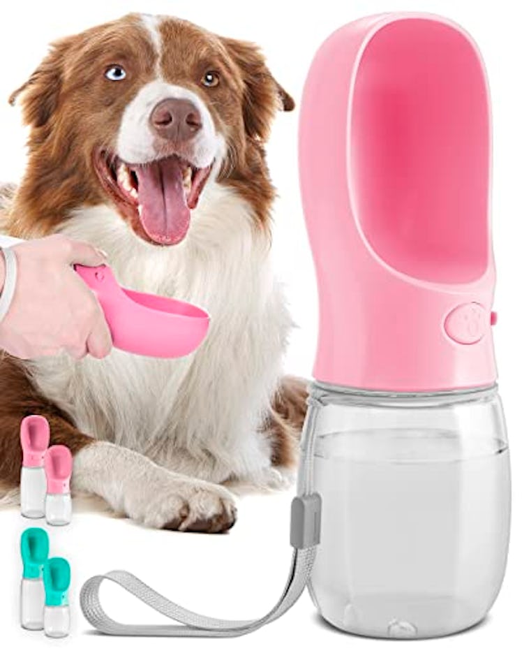 MalsiPree Dog Water Bottle