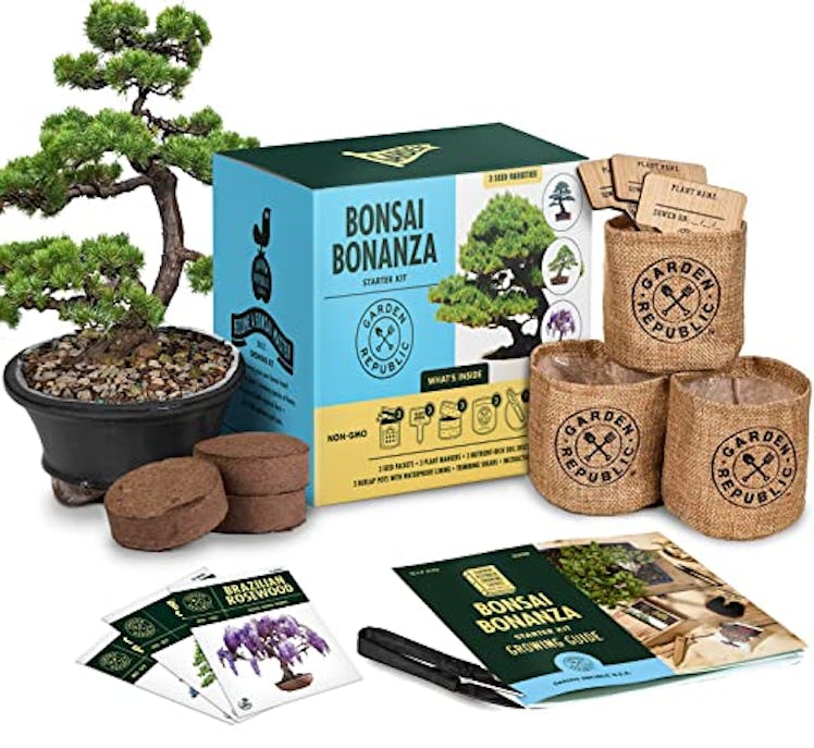 Garden Republic Bonsai Tree Kit (Includes Materials For 3 Trees)