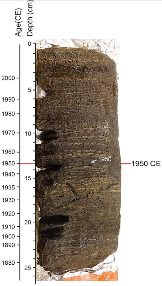 core sample from the lake showing sedementary deposits. 
