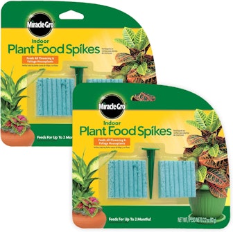 Scotts Indoor Plant Food Spikes (48 Spikes)