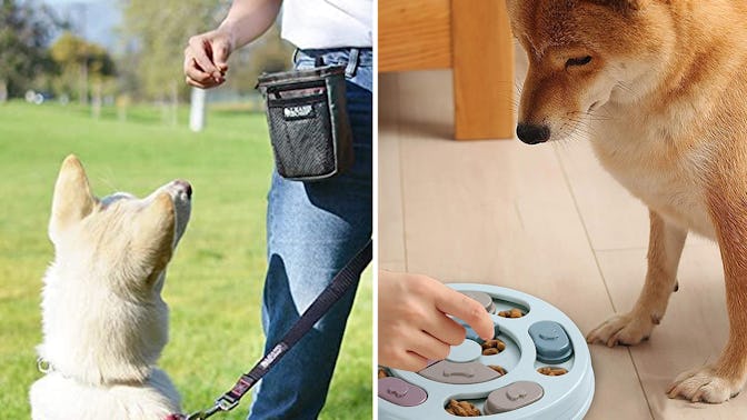 Any of these clever, cheap things would make your dog behave better