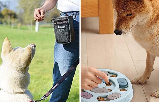 Any of these clever, cheap things would make your dog behave better
