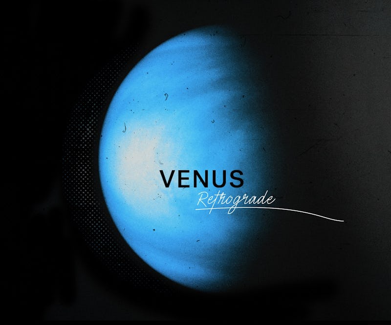 Your Venus Retrograde In Leo 2023 Horoscope Ends The Delusion