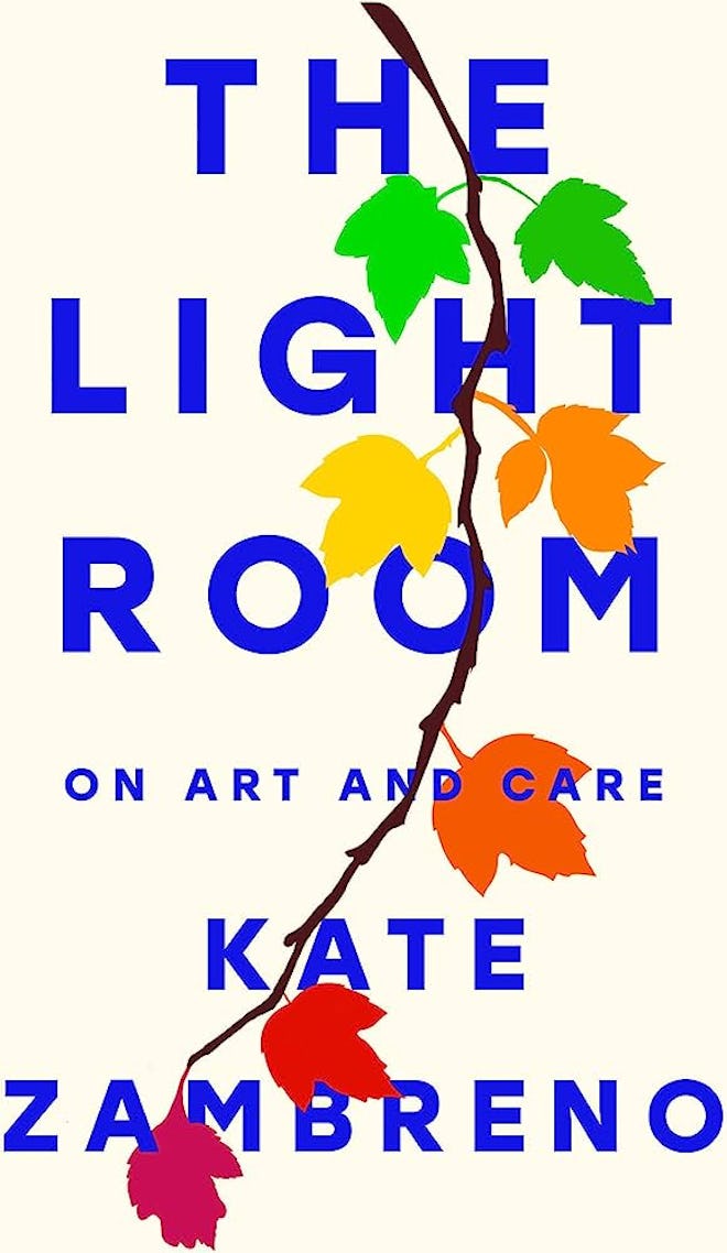 'The Light Room' by Kate Zambreno