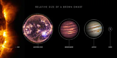 from left to right, the Sun, a red dwarf star, W0623, and Jupiter.