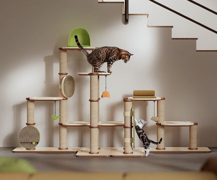 The INFINITY modular cat wall can be reconfigured and designed to suit your cat's needs.