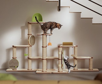 The INFINITY modular cat wall can be reconfigured and designed to suit your cat's needs.