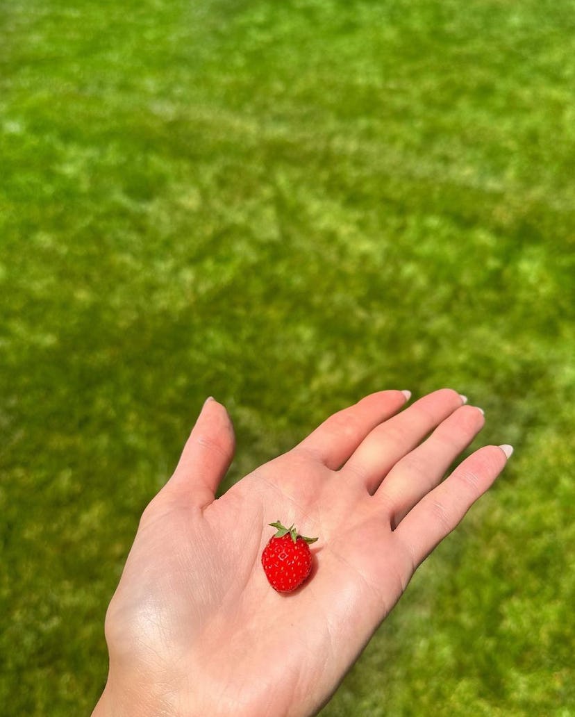 Kylie Jenner holding strawberry from garden