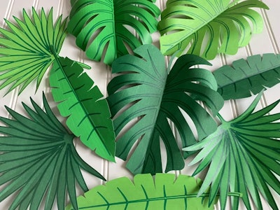Paper jungle leaf backdrop, a perfect addition to dinosaur birthday party decorations.